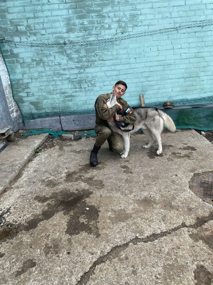 ���� 36568605 ����� Maxim, 23 ����, ���� ���������� � ���������