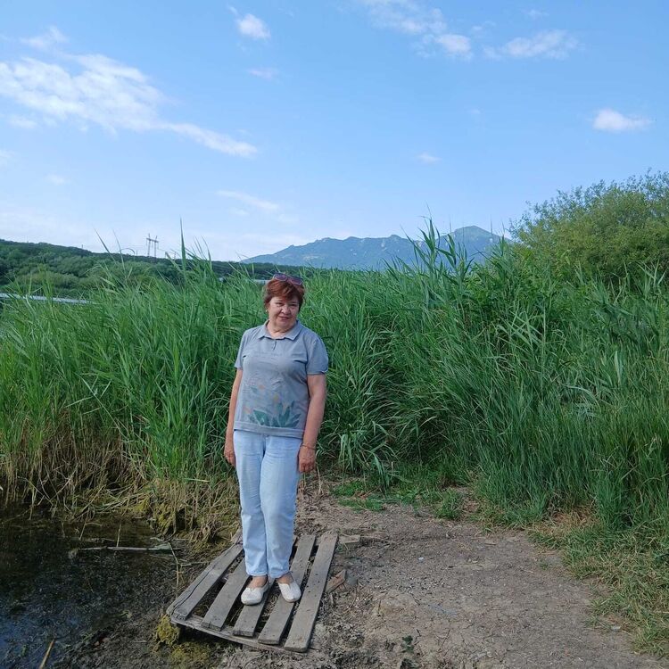   ,   , 65 ,   c , 