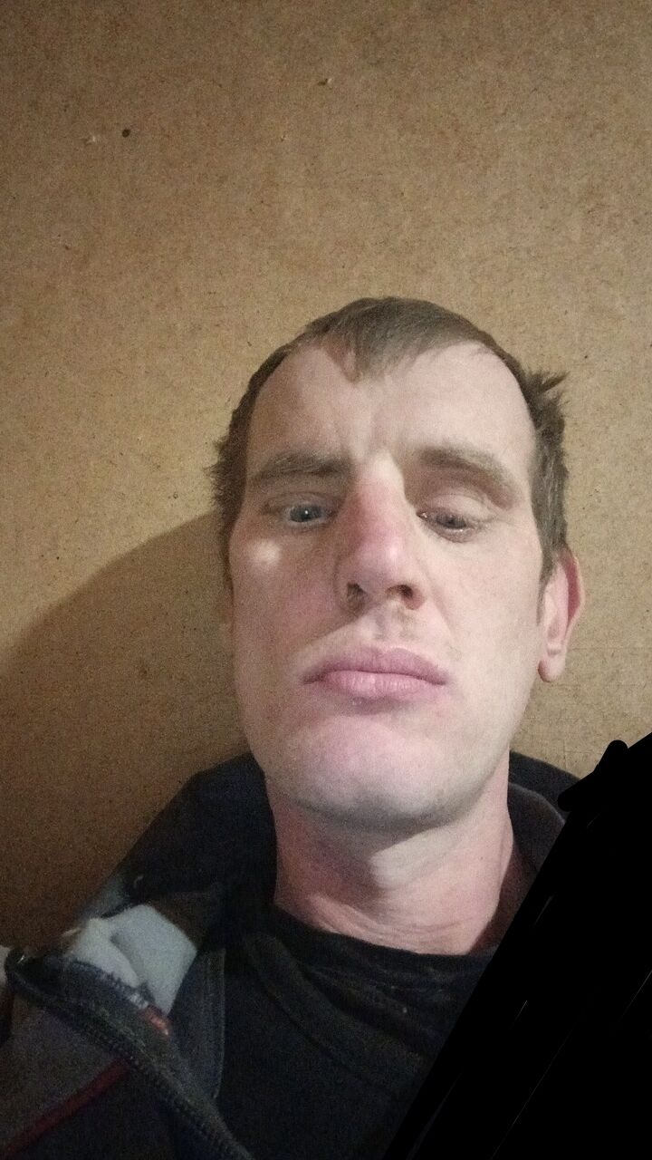  50376215  , 37 ,    