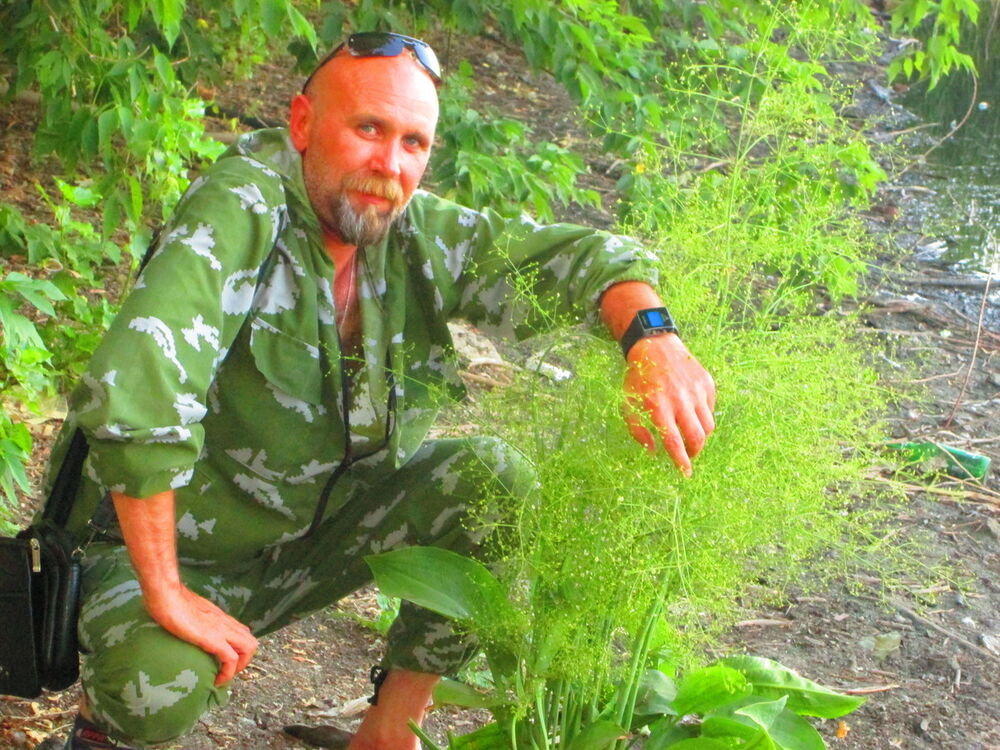 ���������� ������, ���� ������� ��������, 52 ����, ������������ 