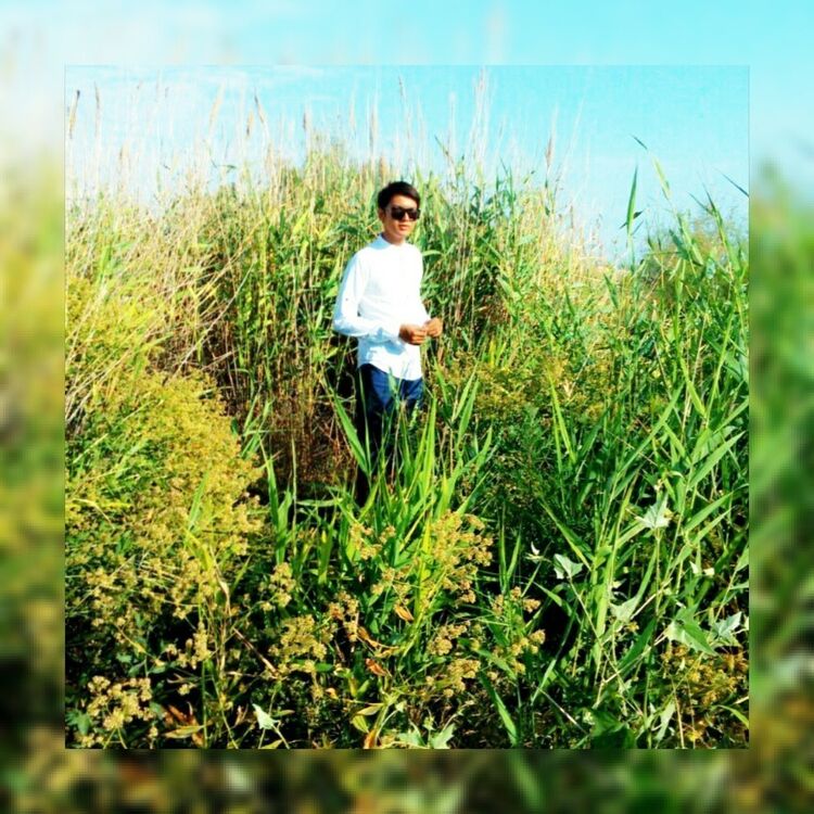 ���� 19167385 ������� Hanture, 30 ���, ���� ���������� � �����