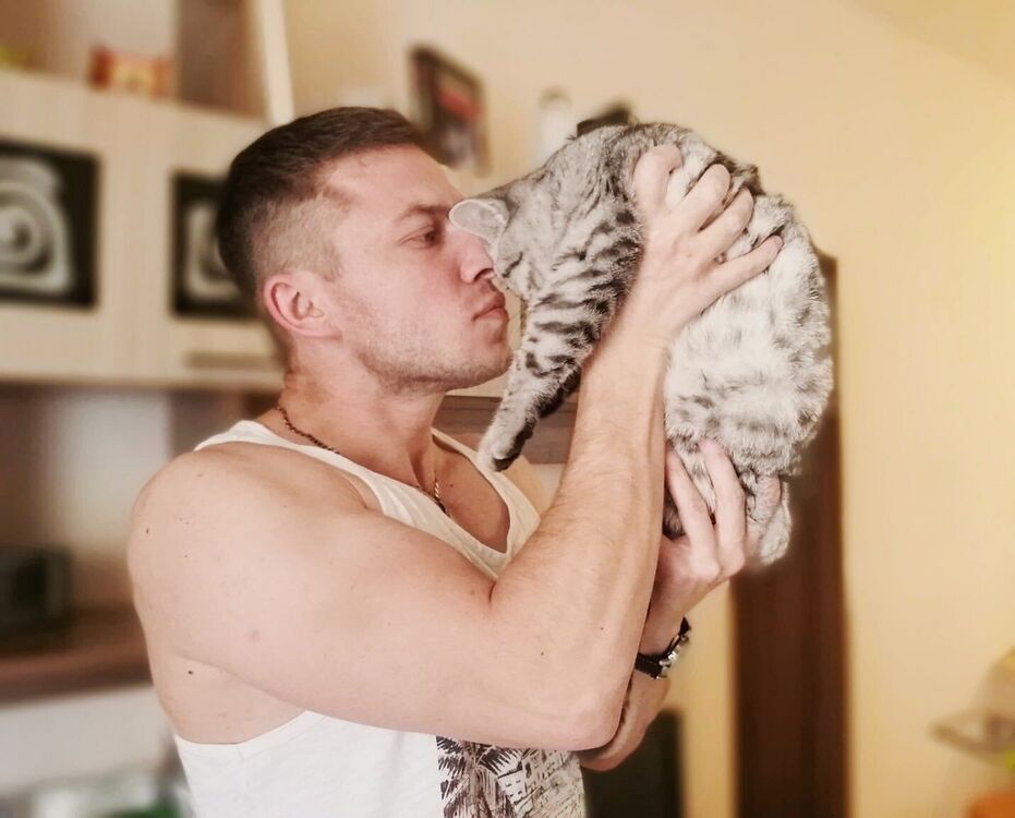  28785485  , 28 ,    -