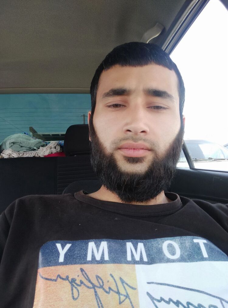 ���� 24670045 ������� Wolff, 31 ���, ���� ���������� � ��������