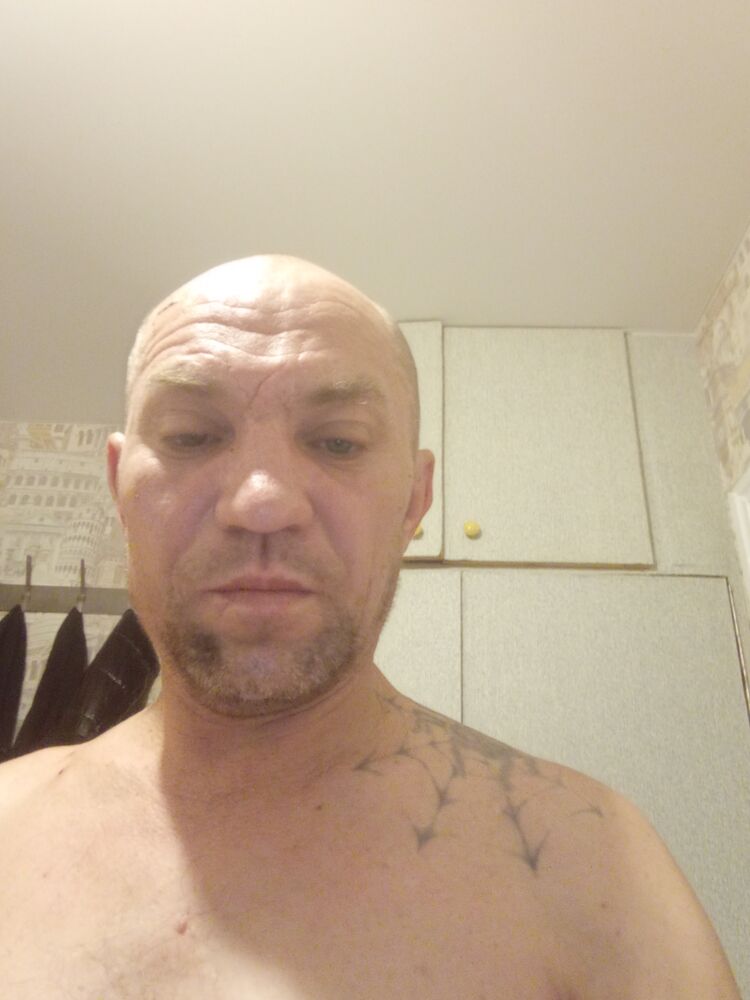 ���� 39066305 ������� �������, 44 ����, ���� ���������� � ����������