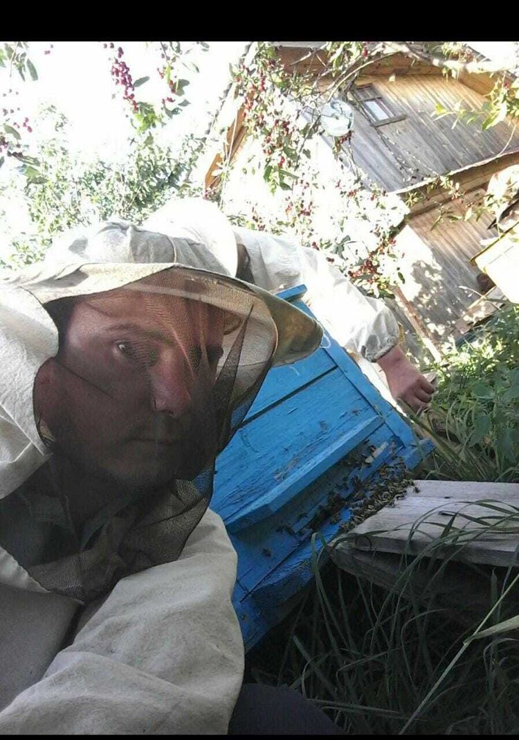 ���� 28886875 ������� ������, 42 ����, ���� ���������� � ������