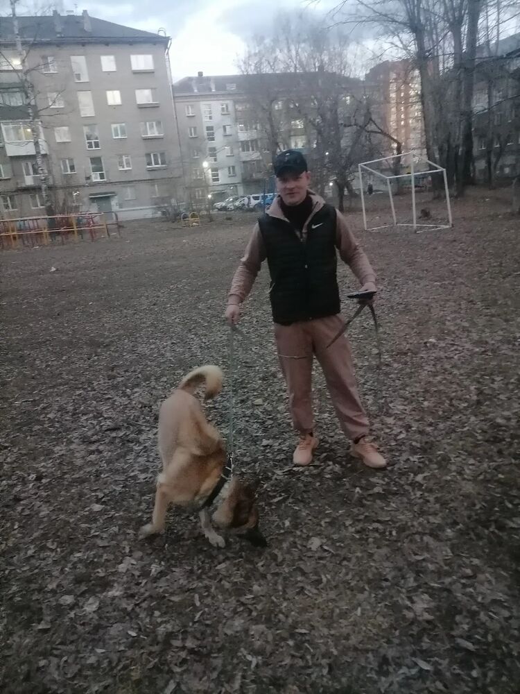 ���� 33798075 ������� �����, 30 ���, ���� ���������� � �����