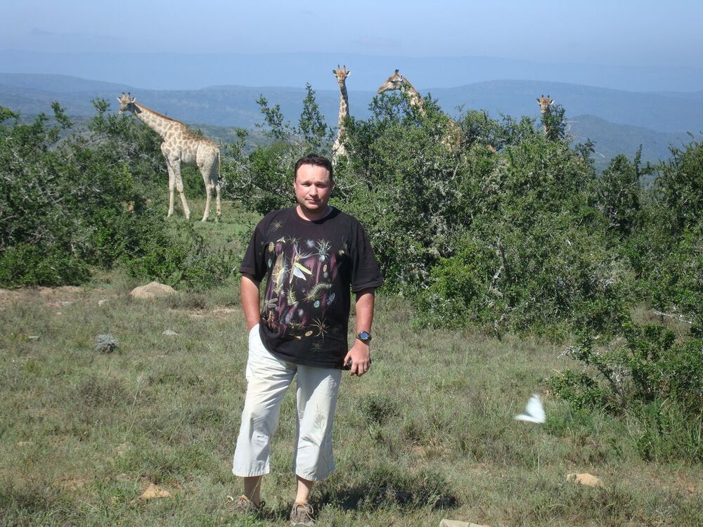 ���������� ������, ���� ������� ����, 41 ���, ������������ ��� ������, ����� � ���������