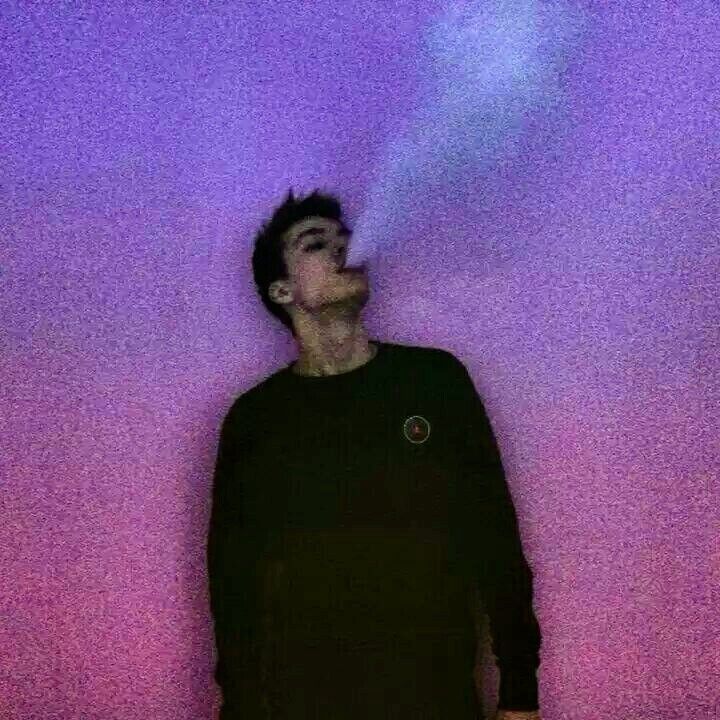  33767155  , 23 ,    