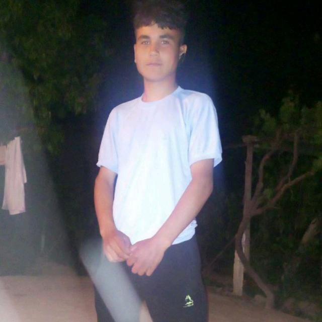  52733445  , 19 ,    