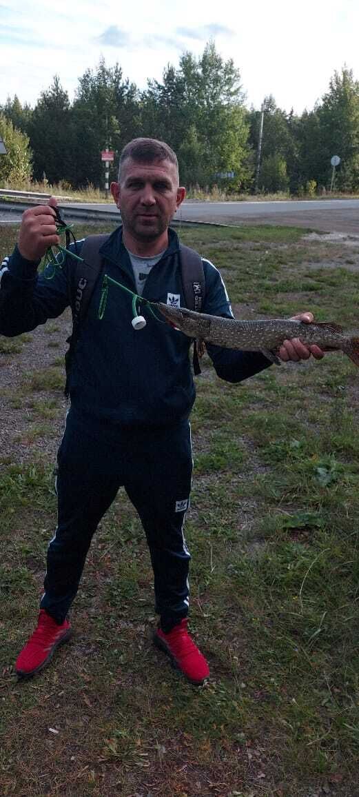 ���� 37893015 ������� �������, 43 ����, ���� ���������� � �������������