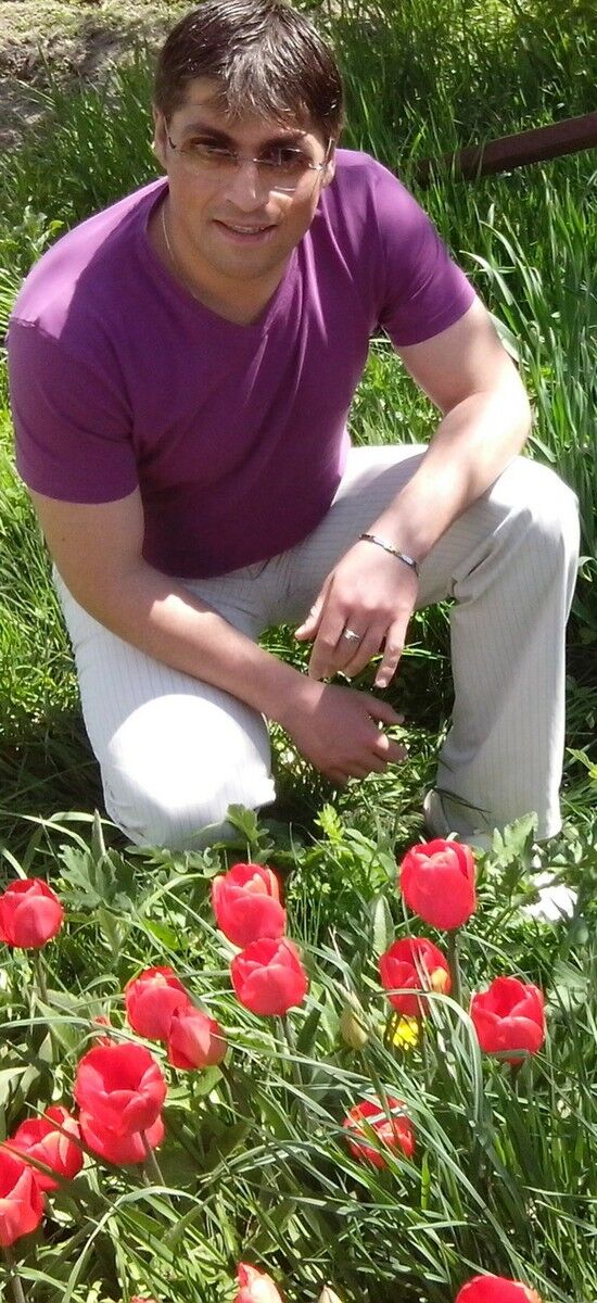 ���� 6043415 ������� Woolf, 36 ���, ���� ���������� � �������