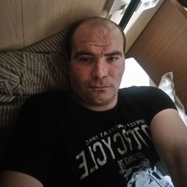  52181575  , 39 ,    