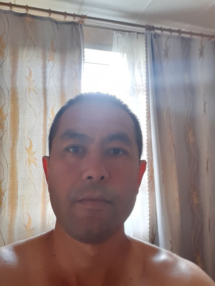  36879705  , 40 ,    