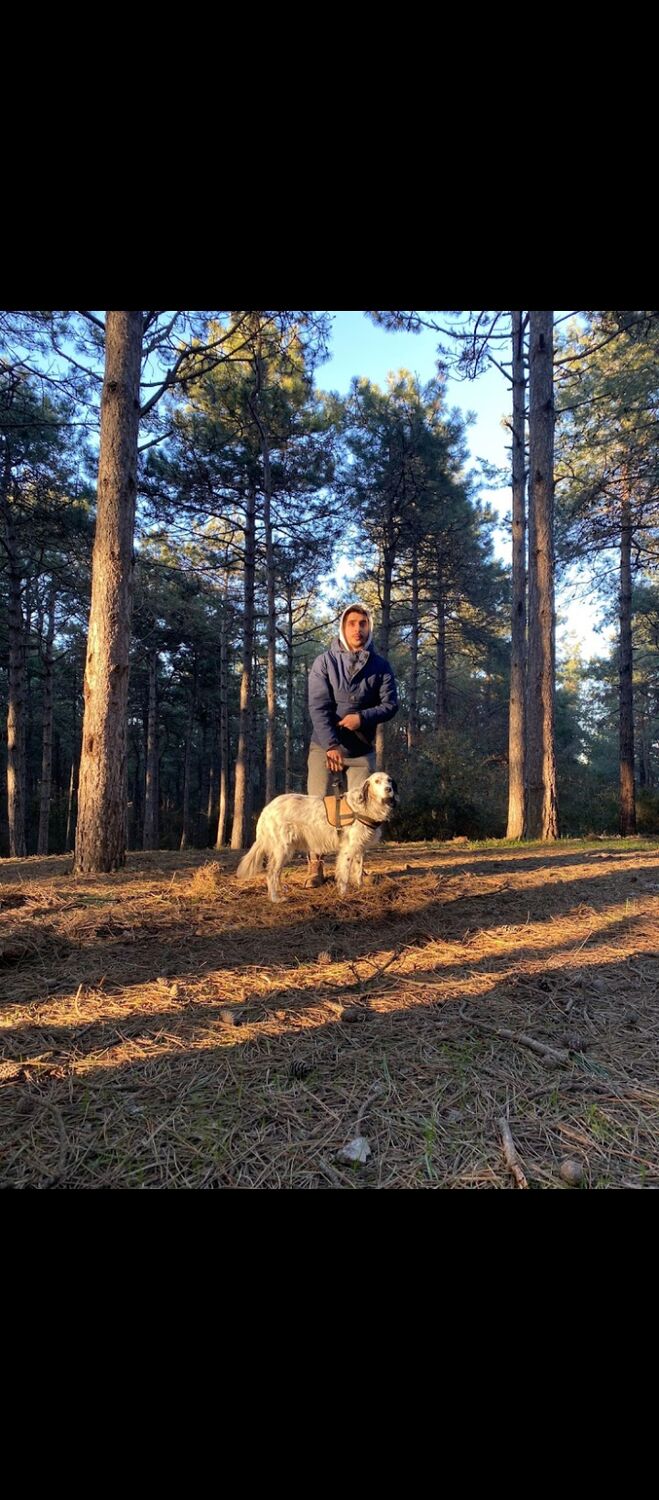 ���������� ������, ���� ������� �����, 31 ���, ������������ ��� ������, ����� � ���������, c�������� ���������, ���������