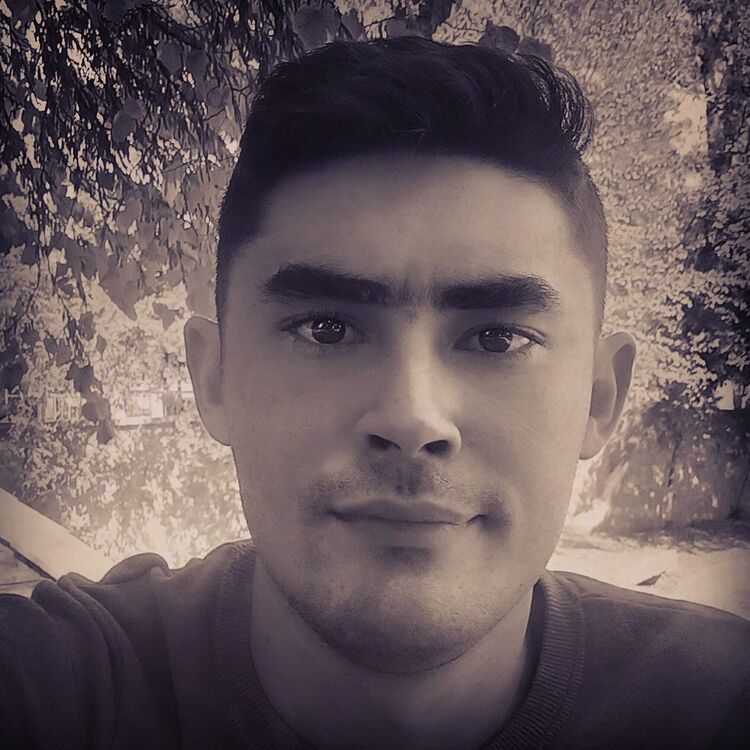  23780515  , 29 ,    