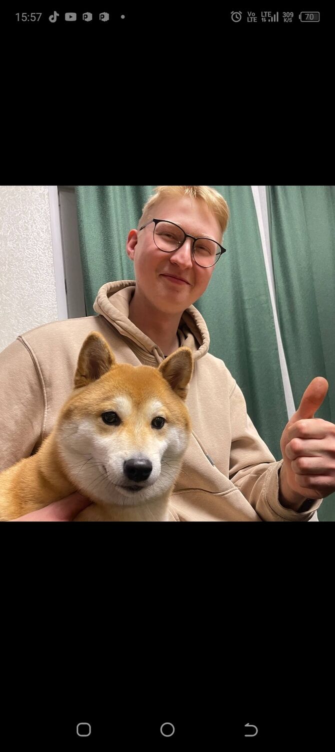 ���� 55316115 ������� ���������, 36 ���, ���� ���������� � �������