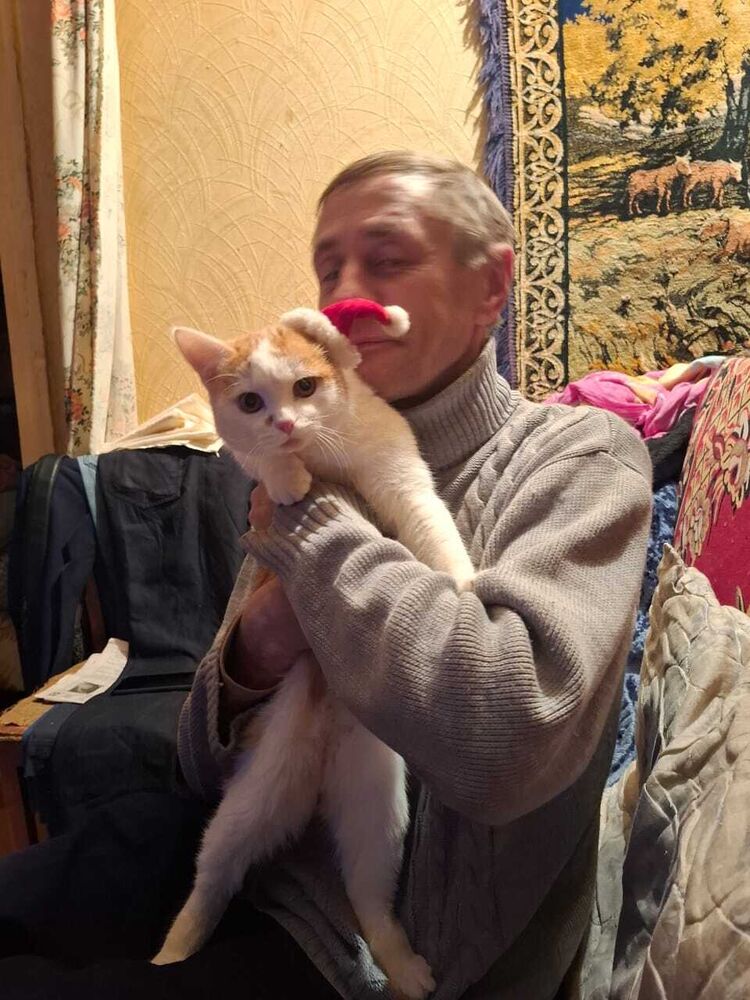 ���� 55473435 ������� ���������, 50 ���, ���� ���������� � ��������