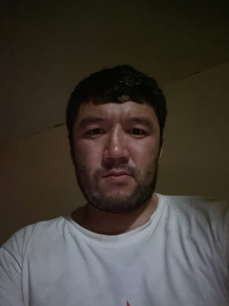  45085085  , 31 ,    -