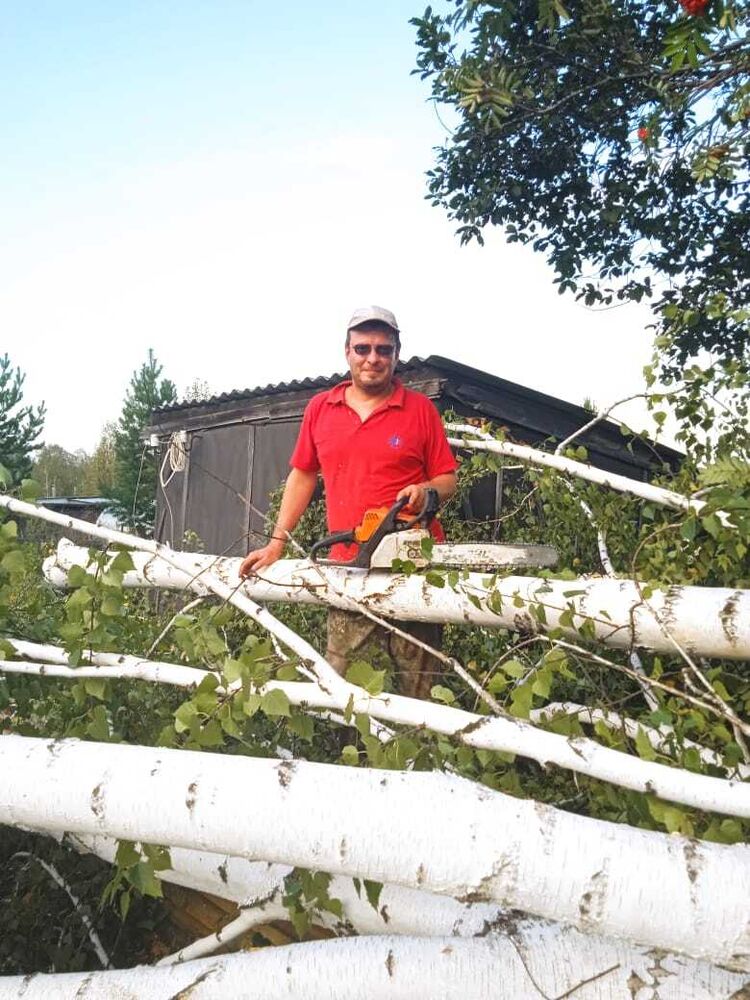 ���������� �����������, ���� ������� ���������, 42 ����, ������������ ��� ������, ����� � ���������, c�������� ���������