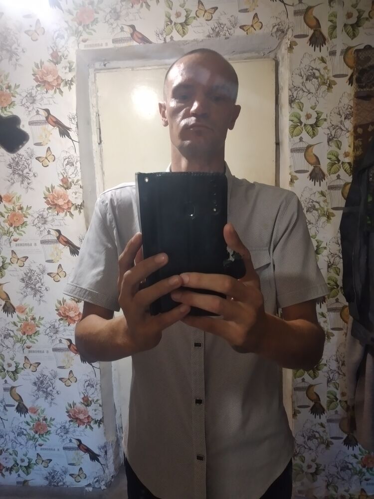  29041035  , 38 ,    