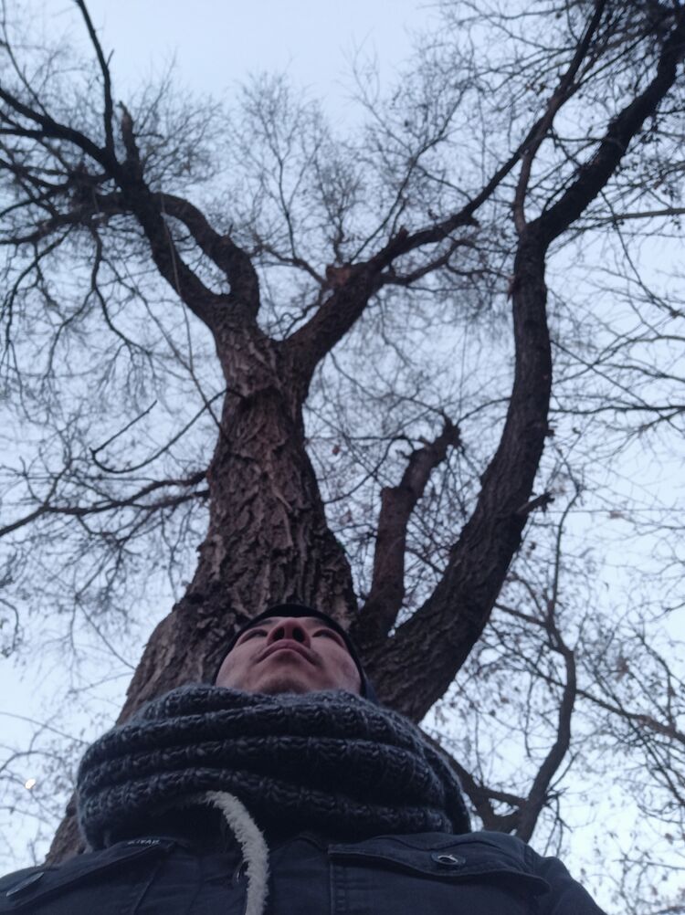 ���� 24857775 ������� �����, 36 ���, ���� ���������� � �������