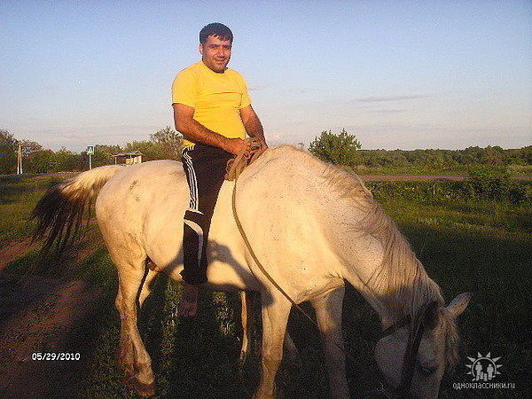  4620065  , 48 ,    