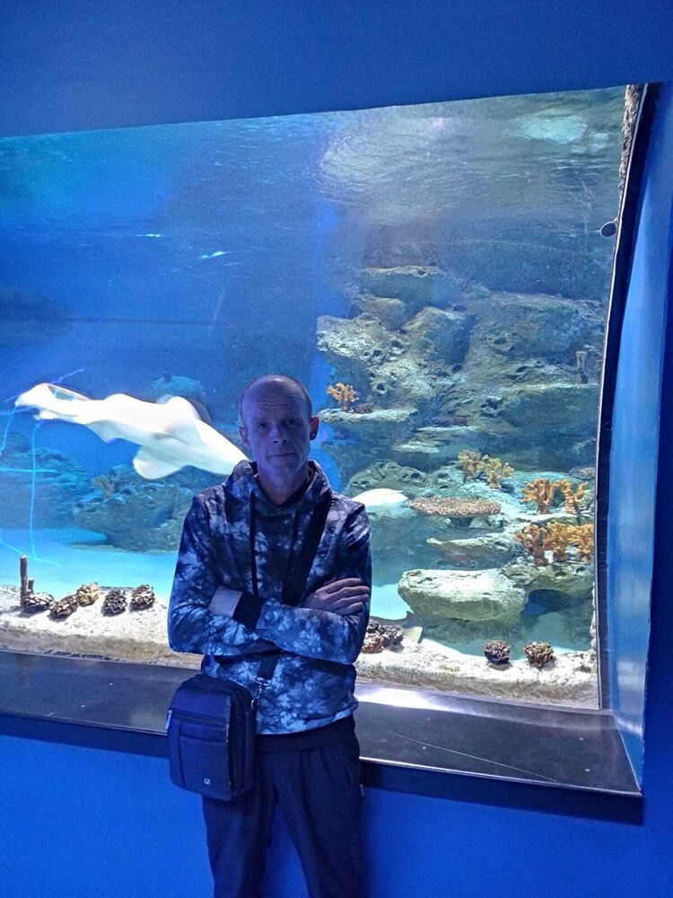 ���������� �����������, ���� ������� ����, 50 ���, ������������ ��� ����� � ���������, c�������� ���������, ���������