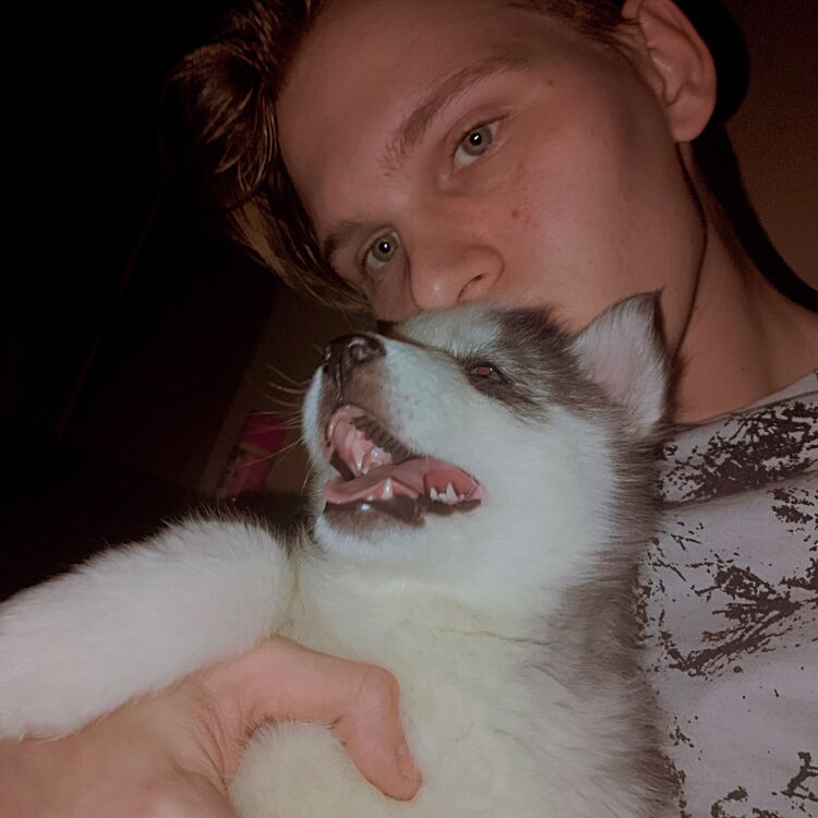 ���� 49195045 ����� ����, 24 ����, ���� ���������� � ������