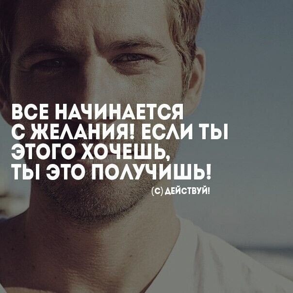 ���� 31487815 ������� �����, 33 ����, ���� ���������� � ������