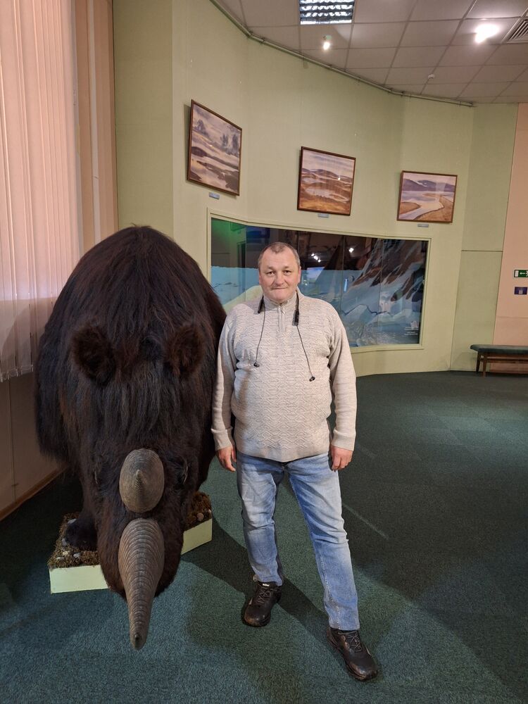 ���������� �����, ���� ������� Ignat, 48 ���, ������������ ��� ������, ����� � ���������, c�������� ���������, ���������