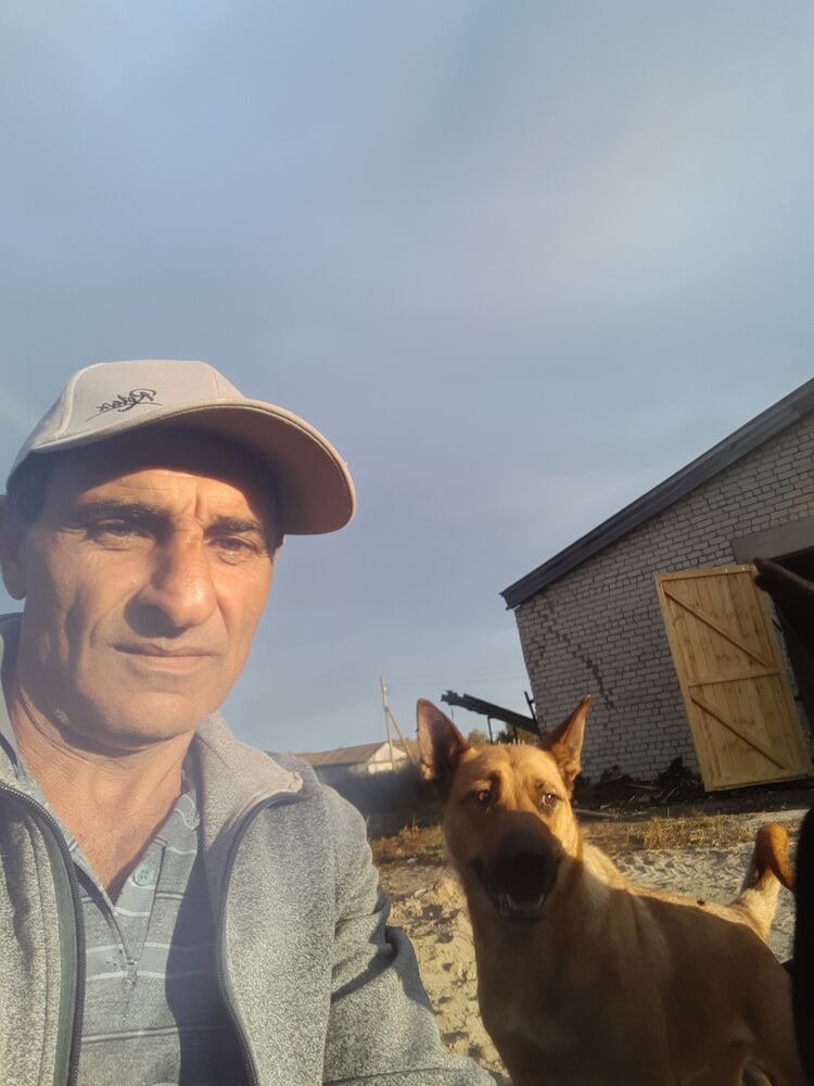 ���� 38653805 ������� �����, 52 ����, ���� ���������� � ����������