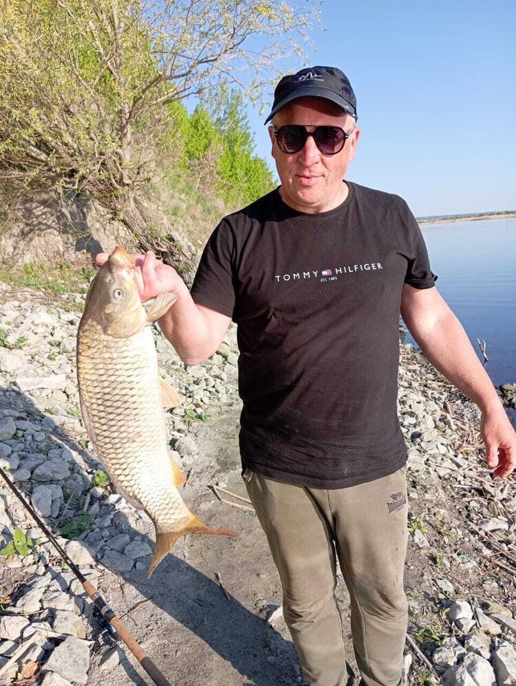 ���� 55551915 ������� �����, 54 ����, ���� ���������� � ��������