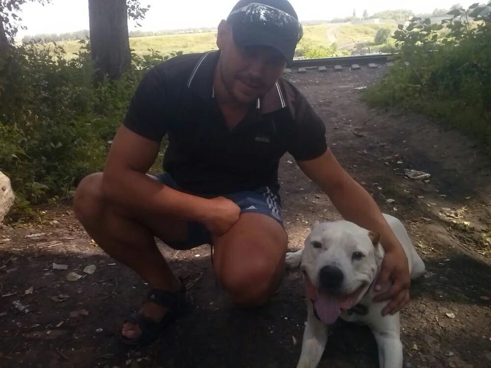 ���� 31368215 ������� ������, 38 ���, ���� ���������� � �������