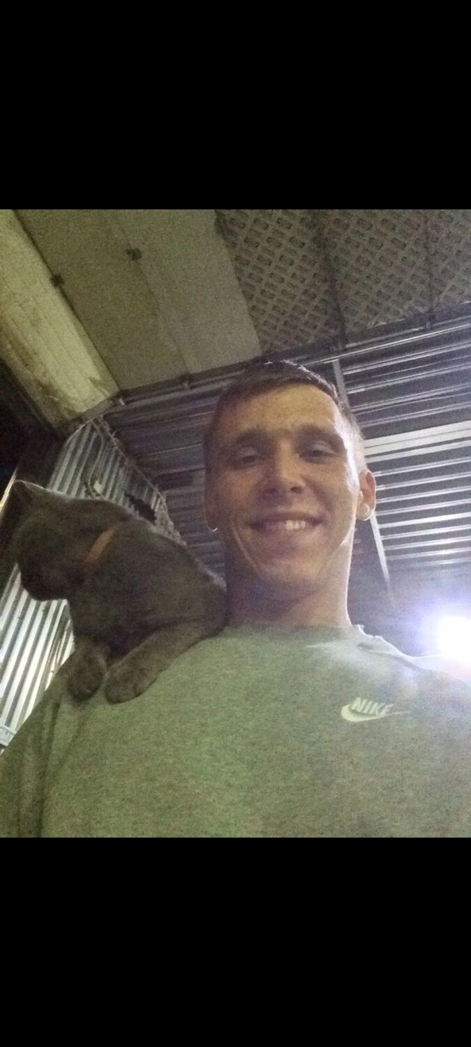 ���������� ��������, ���� ������� ���������, 28 ���, ������������ ��� ������, ����� � ���������, c�������� ���������, ���������