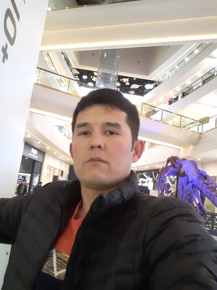  24226195  , 38 ,    -