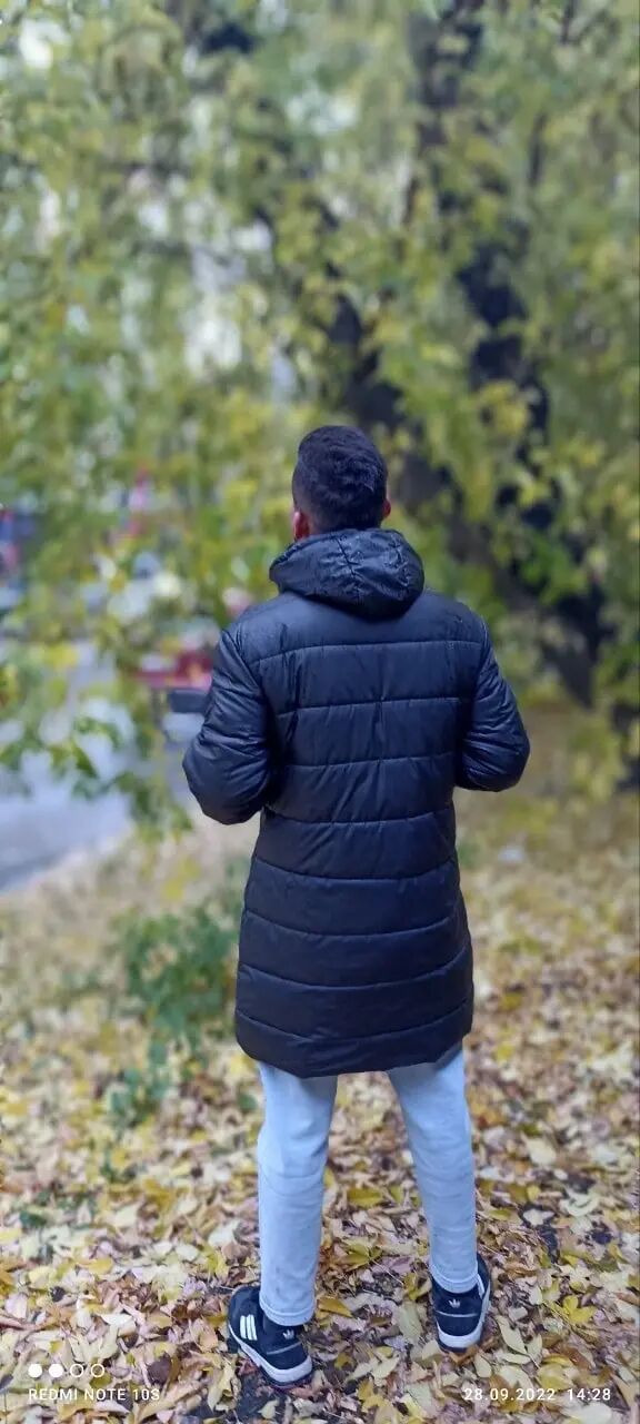 ���� 37536145 ������� ������, 26 ���, ���� ���������� � ����������