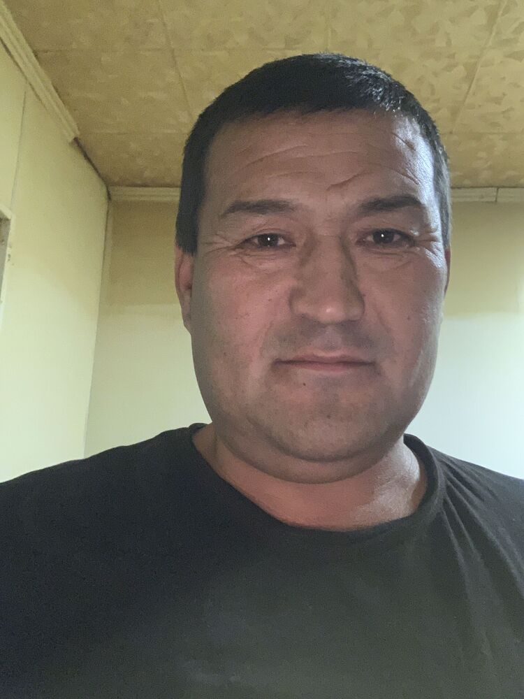  31146915  , 42 ,    