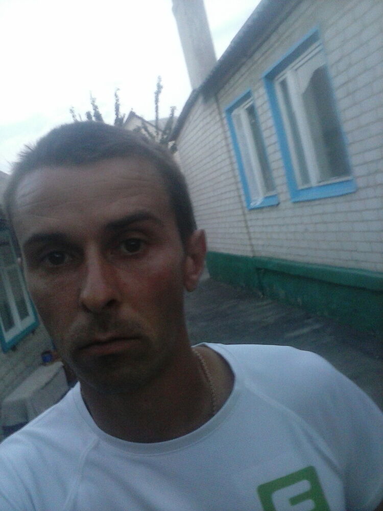  12454355  , 43 ,    