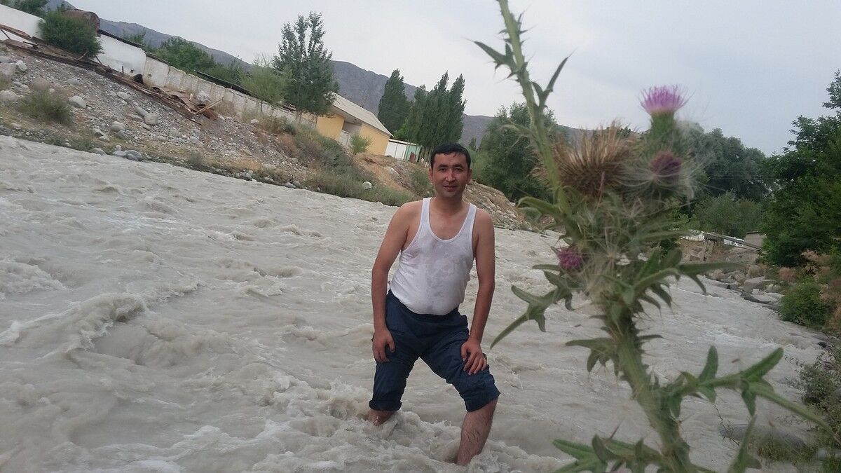  7898205  , 41 ,    