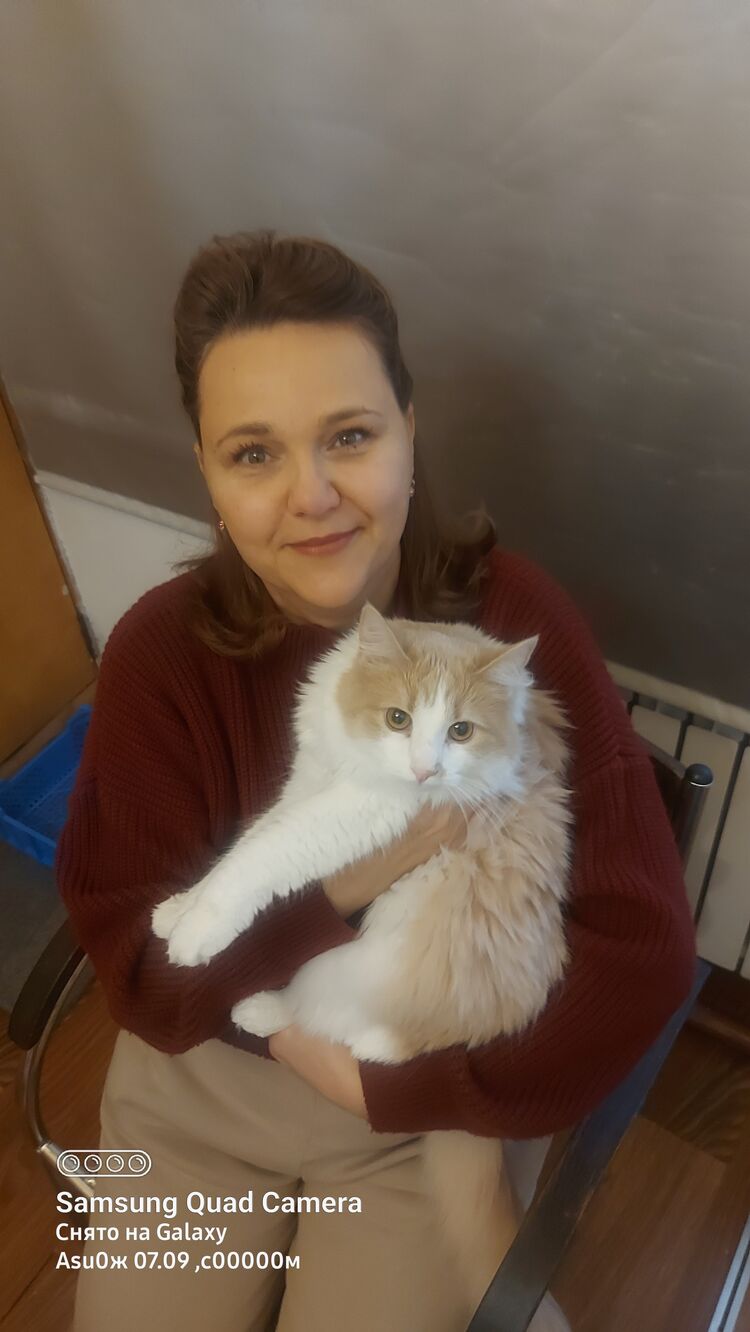  54273015  , 48 ,    -