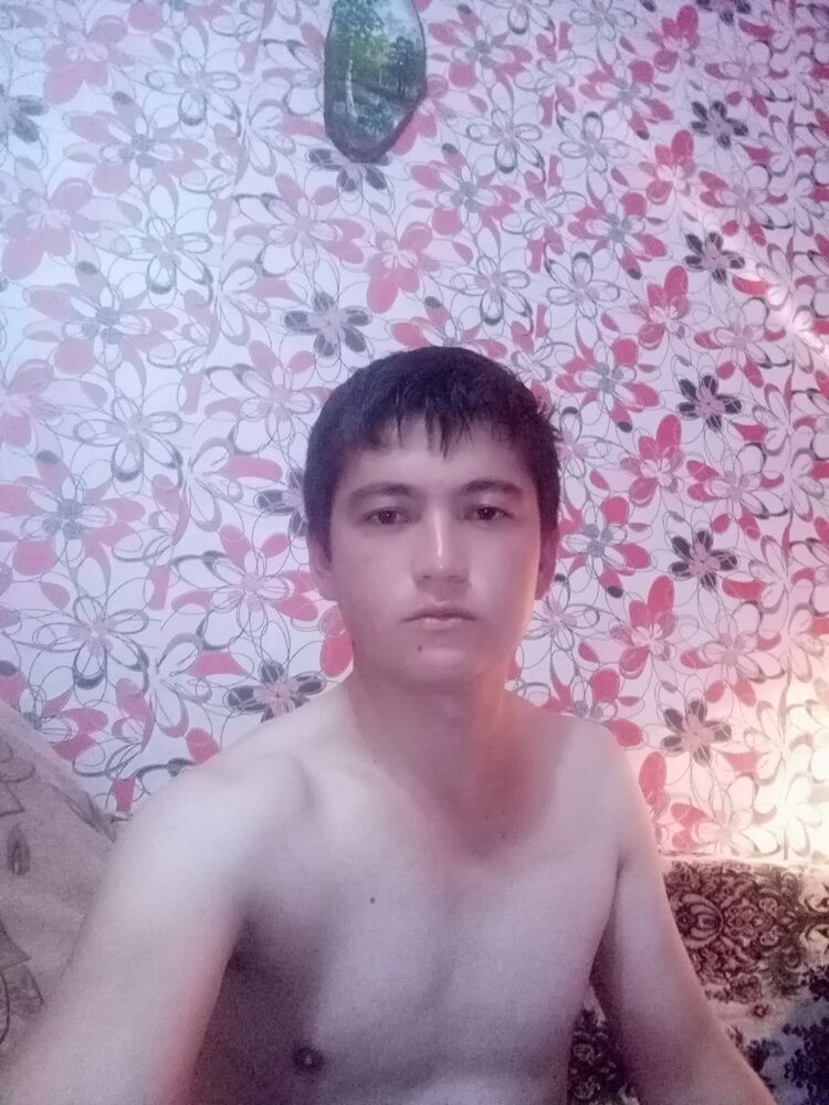  17537705  , 31 ,    