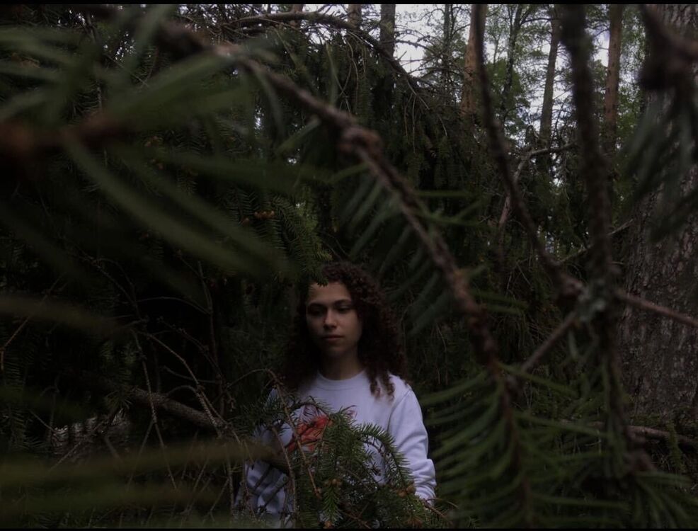 ���������� ������, ���� ������� ��������, 26 ���, ������������ ��� c�������� ���������