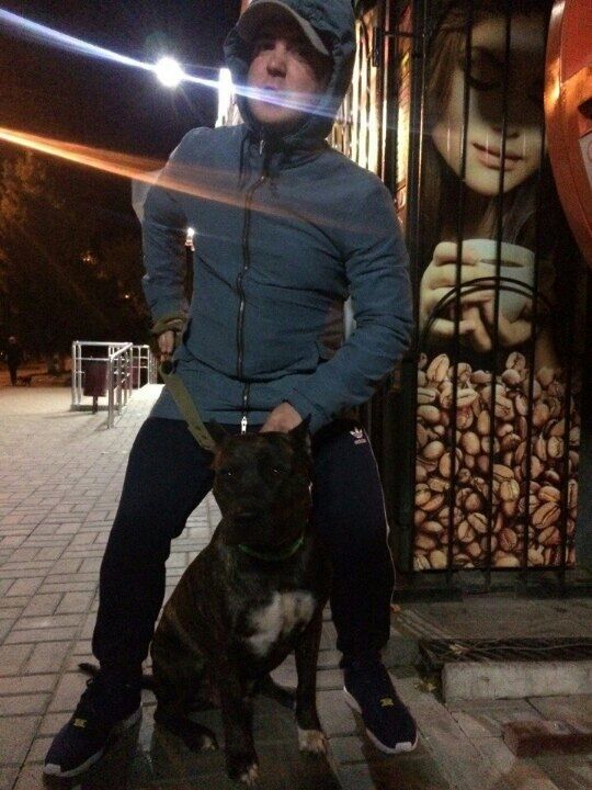 ���� 23867335 ������� ��������, 33 ����, ���� ���������� � ����������