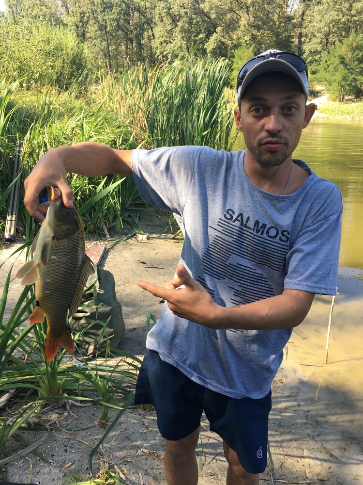 ���� 33976225 ������� ���������, 37 ���, ���� ���������� � �����