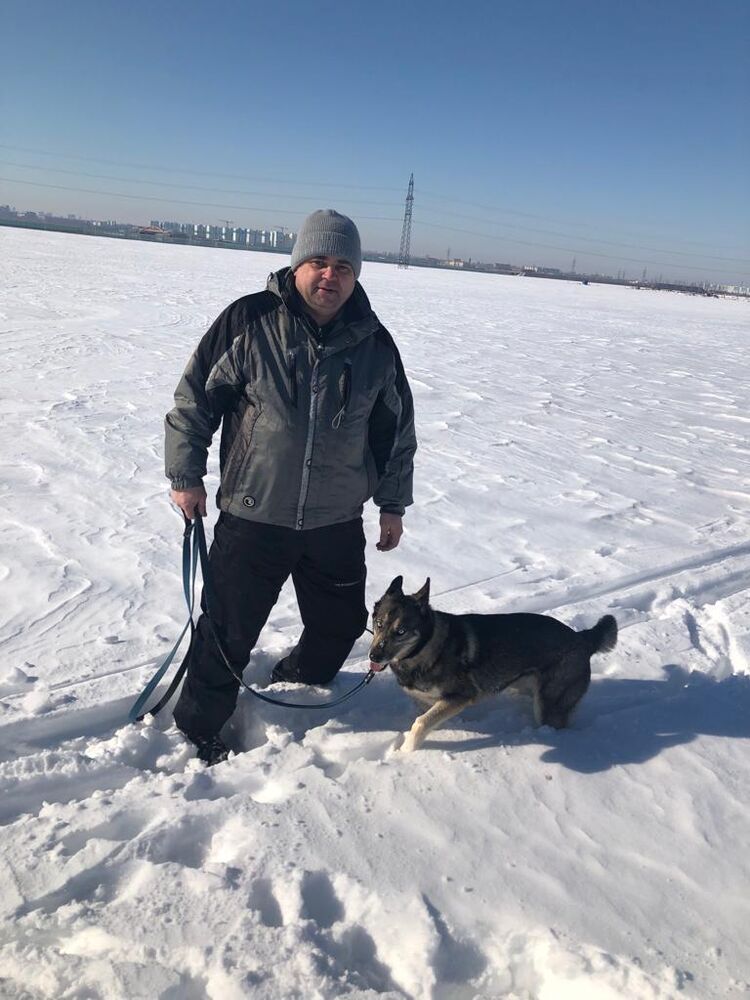 ���������� �������, ���� ������� ����, 52 ����, ������������ ��� ������, ����� � ���������, c�������� ���������, ���������