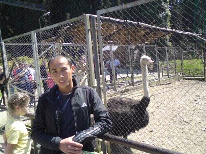 ���������� ����-���, ���� ������� �����, 40 ���, ������������ ��� ������, ����� � ���������, c�������� ���������