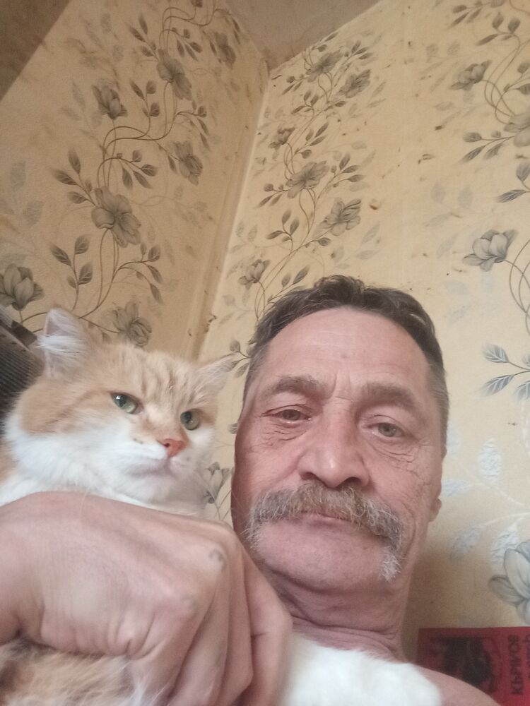  53369405  , 52 ,    --