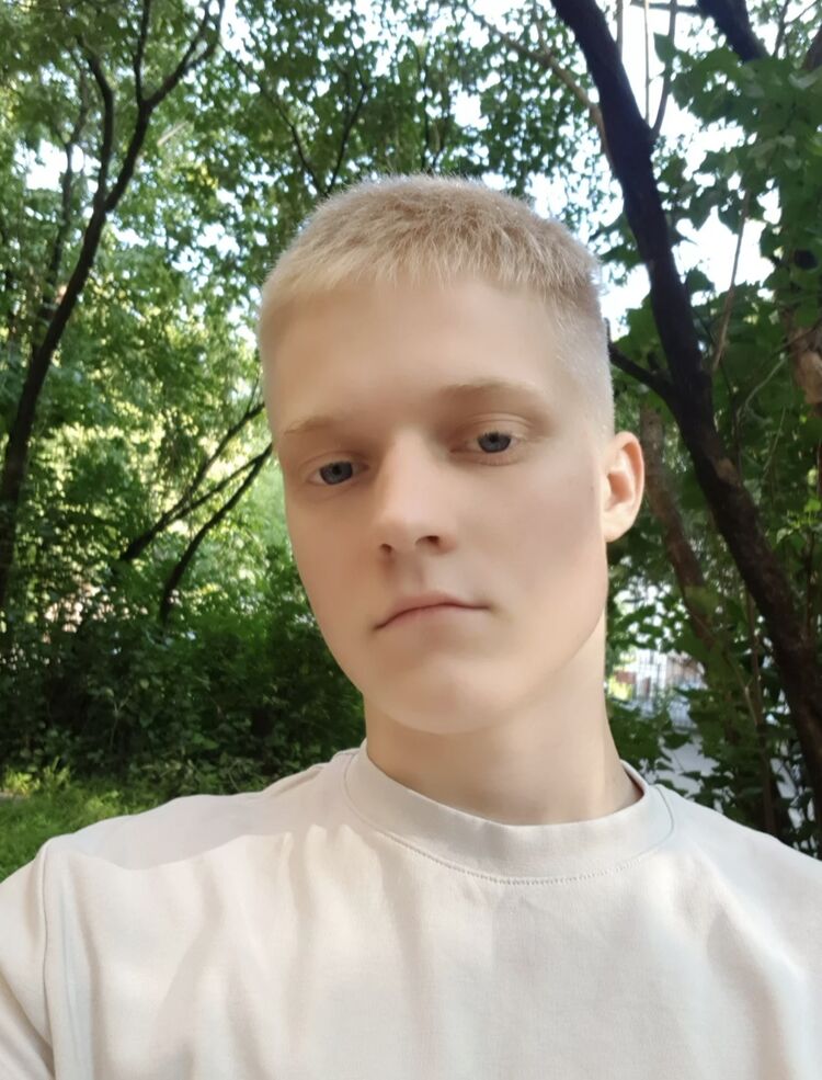  53406255  , 20 ,    