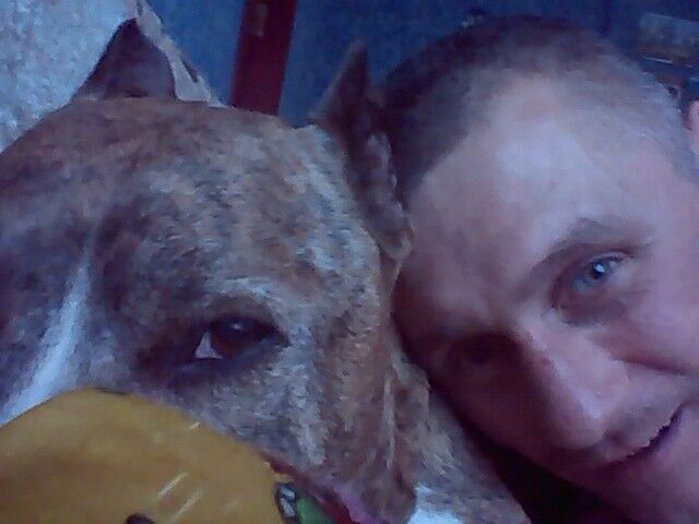 ���������� ���������, ���� ������� 89180775033, 46 ���, ������������ 