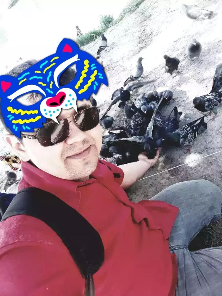 ���� 19110745 ������� ���� �������, 33 ����, ���� ���������� � �������